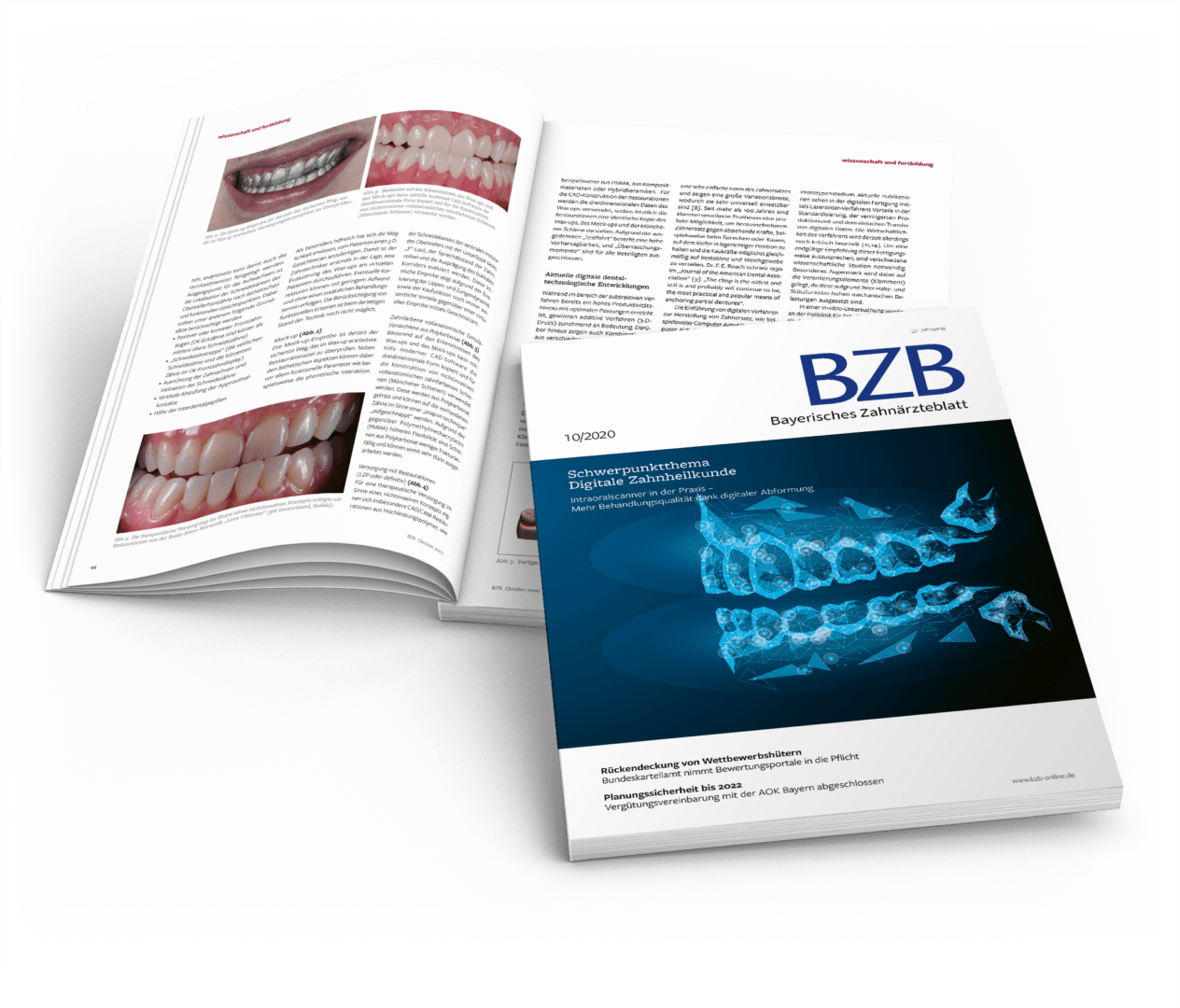 tw_2020_journale_bzb